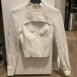 Aritzia Babaton Sweater Top